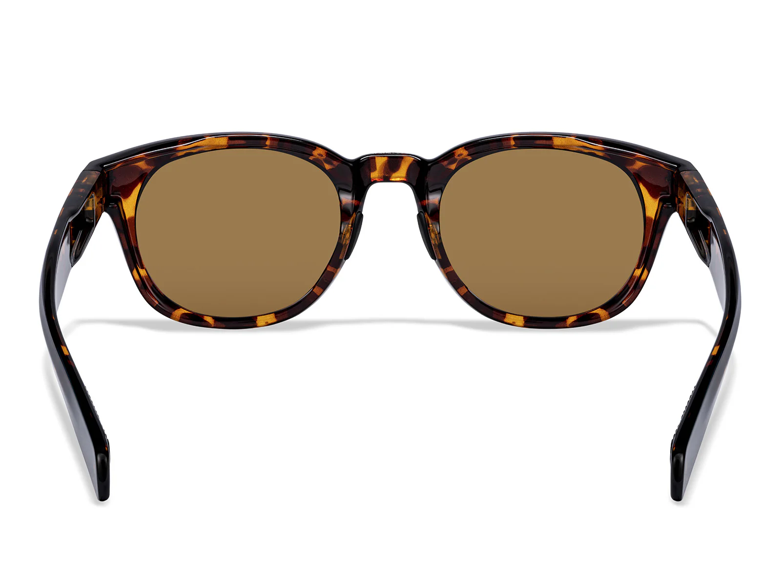Hamilton Prescription Sunglasses - Image 18